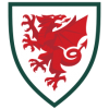 Wales 2023/2004 Tröja