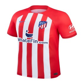 Atletico Madrid Fotbollströja 2024